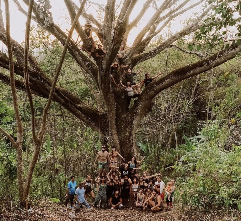 Cultivate your business's online presence